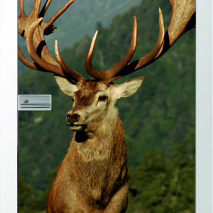 JOKA Glastür Deer Fläche Keramischer Fotoprint inklusive Weißlack Zarge