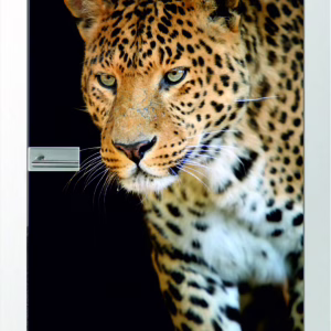 JOKA Glastür Leopard Fläche Keramischer Fotoprint inklusive Weißlack Zarge