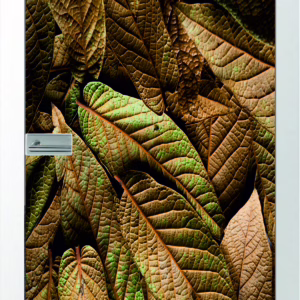 JOKA Glastür Nature 3d Fläche Keramischer Fotoprint inklusive Weißlack Zarge