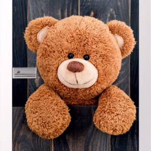 JOKA Glastür Teddy Fläche Keramischer Fotoprint inklusive Weißlack Zarge