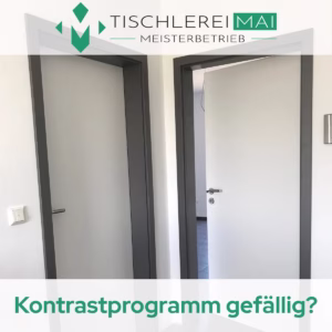Innentürblatt auf eine vorhandene Stahlzarge einbauen