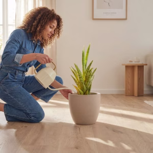 COREtec Rigid Klick-Vinyl Forest - Naturals - 50 LVP 806_1920x1920